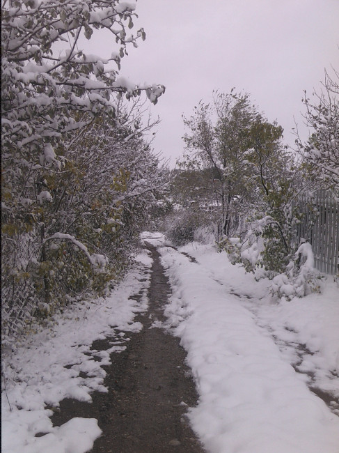 Не бегите от депрессии