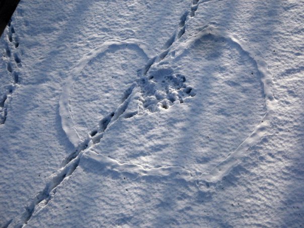 Проявление любви